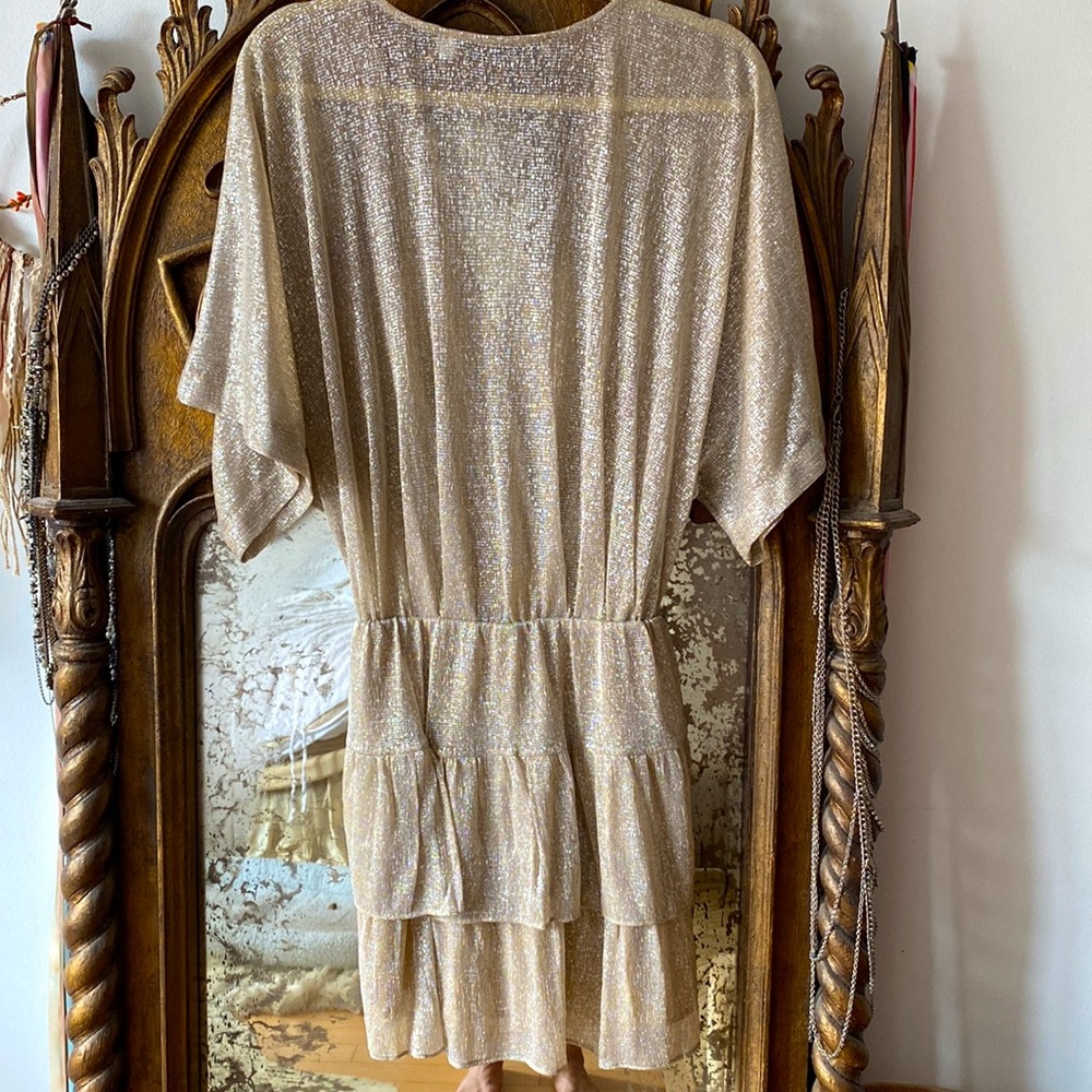 IRO dress - Picture 4 of 5